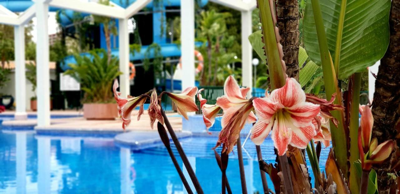 El Estudio De La Playa Benalbeach Holidays Deluxe Беналмадена Екстериор снимка